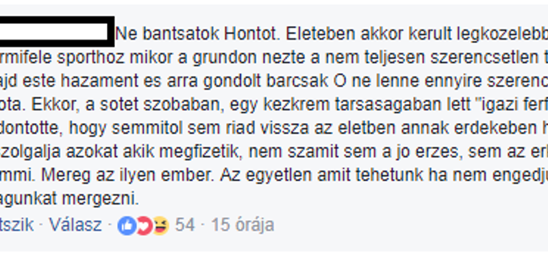 Válaszolt az Emmi házi trollja ügyében