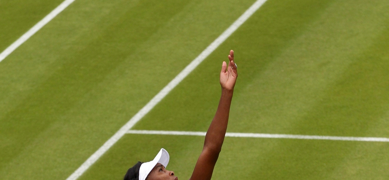 Wimbledon: Venus Williams vért izzadva jutott be a 32 közé