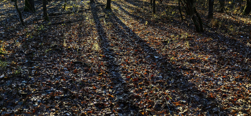 Egész héten marad a hirtelen jött hűvös