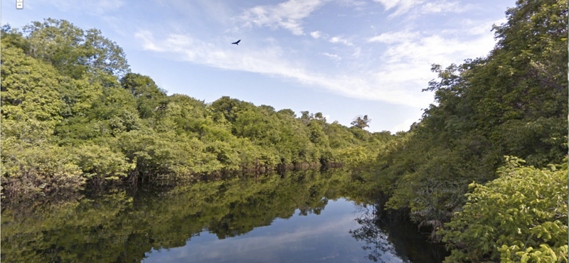 A Google térképére került az Amazonas - nagyfelbontásban