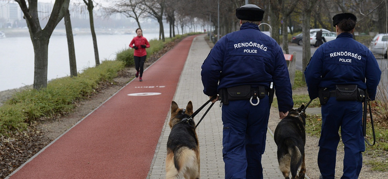 Szatírparadicsom lett a Margitsziget