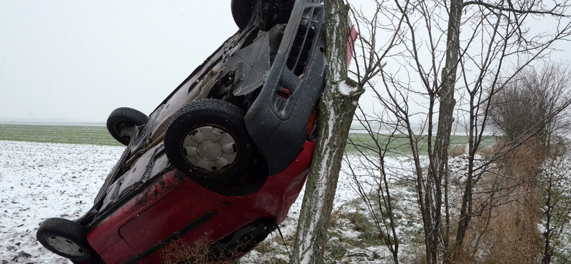 Durva fotók: szinte fennakadt a fán a Renault a 46-oson