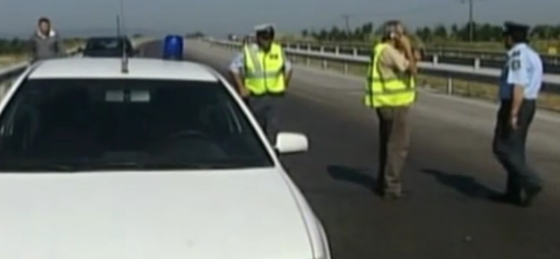 Több millió béka a sztrádán - videó