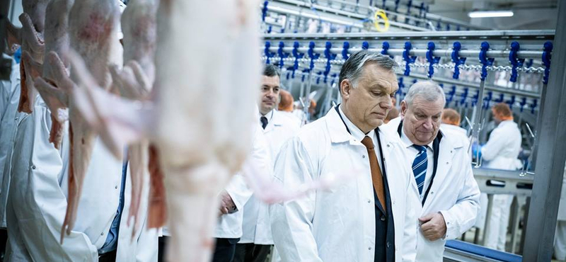 Orbán Viktortól kér segítséget a polgármester a Pannon Lúd bezárása miatt