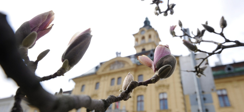 Biomassza-erőmű és simicskázás miatt áll a bál Szegeden