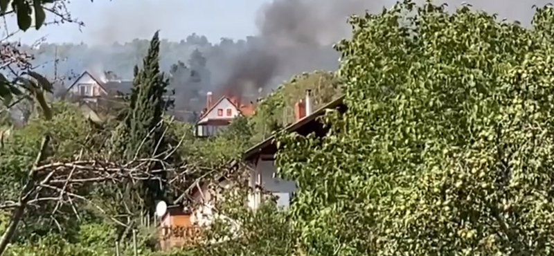 Három ház leégett Pécsen a mecseki tűzvészben, 120 tűzoltó oltja a lángokat