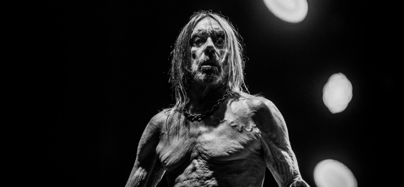 Nem csak a farokméregetés miatt különleges Iggy Pop új nagylemeze