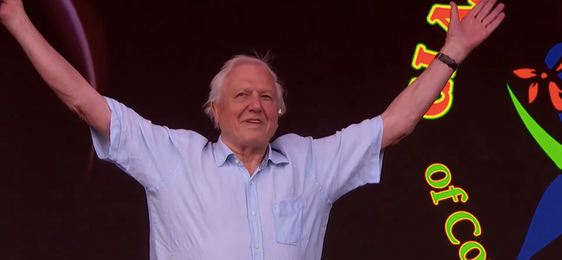 Videó: Óriási üdvrivalgás fogadta David Attenborought a Glastonbury fesztiválon