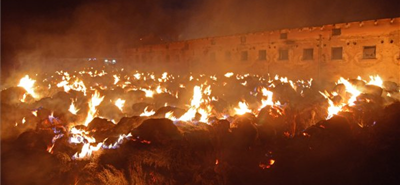 Négyezer pulyka égett el a pecöli tűzben