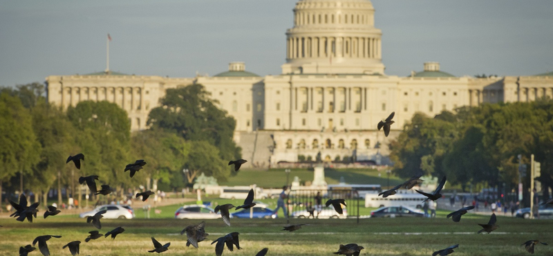 Tavaszi melegben karácsonyozhatnak a washingtoniak