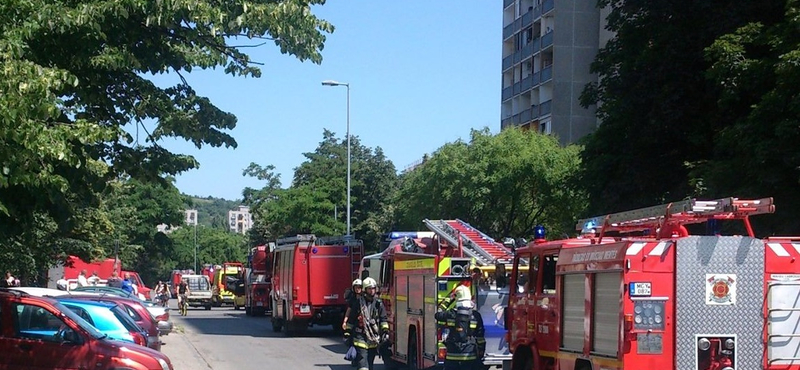 Kigyulladt a szemétledobó egy budai tizenöt emeletes házban - fotó