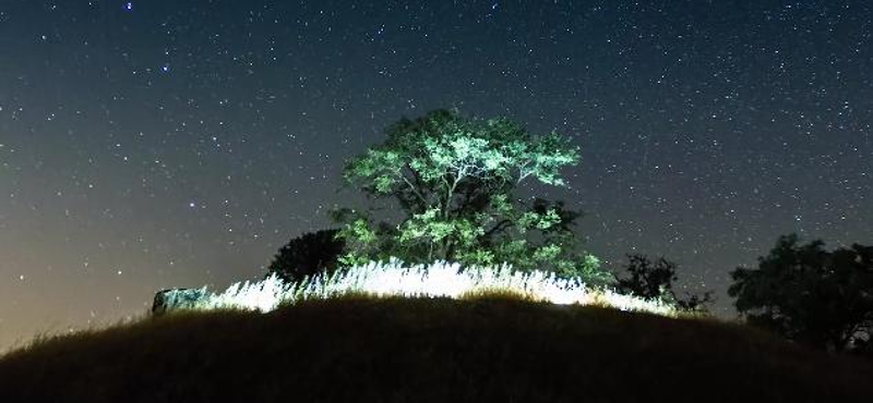 Zavargástól az állati test bomlásáig - minden belefért ebbe a lenyűgöző time-lapse videóba