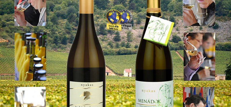 Magyar chardonnay a világ legjobbjai között