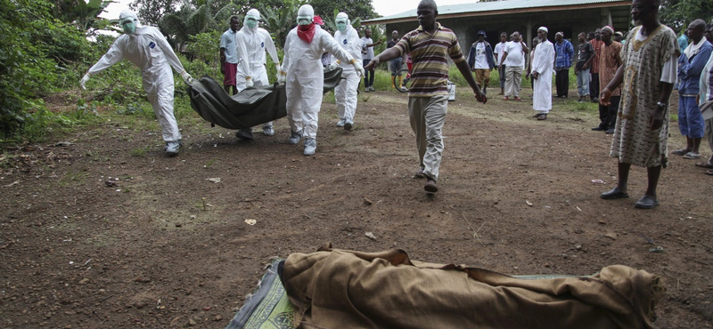 Ebola: lélektani határt lépett át az áldozatok száma