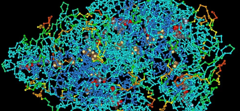 Találtak egy kulcsenzimet, új esélyt kaphatnak a túlélésre a prosztatarákos betegek
