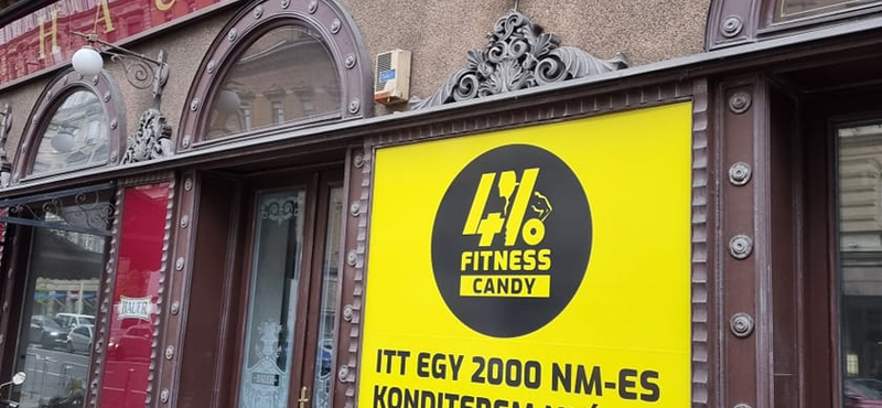 A Hauer helyén fitneszterem nyílik, egy kínai étterem lett volna a másik opció