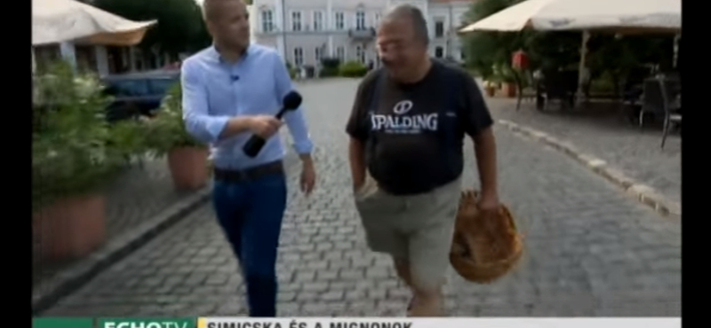 Simicska Mészáros tévéjének árulta el a nagy mignon-titkot – videó