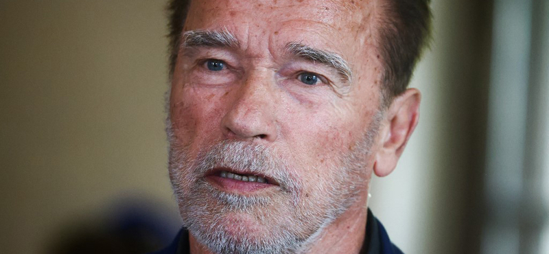 Arnold Schwarzenegger a Lidl reklámarca lett