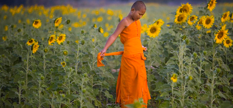 Aranyéletük van a buddhista szerzeteseknek