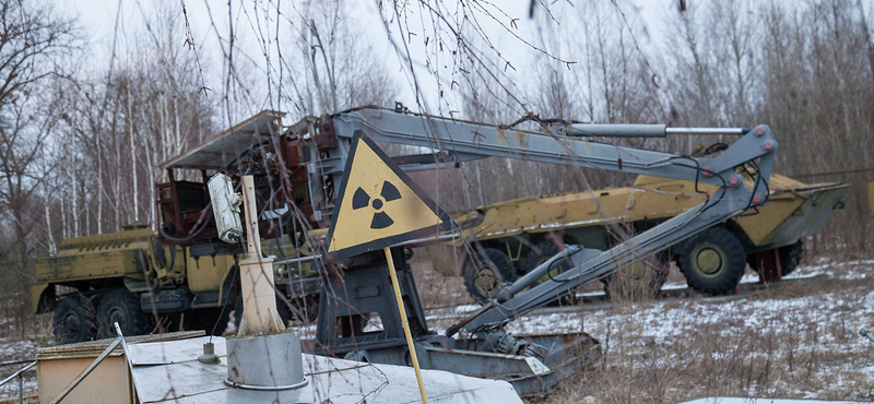 A német erdők gombáiban még mindig kimutatható a csernobili atombaleset nyoma