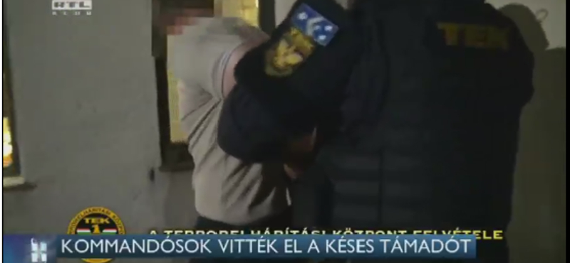 Kutyát ölt az agresszív férfi, kommandósok vitték el