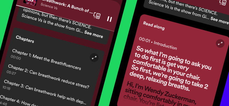 Ne csak hallgassa, lássa is: nagy újdonság jön a Spotifyra