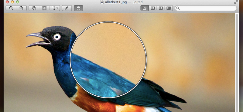Lion tipp: nagyító a Preview-ban