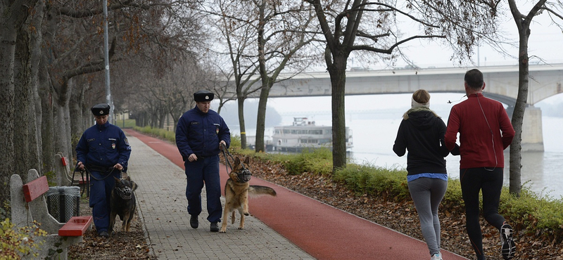 Budapesti lakos a margitszigeti támadó