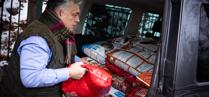 Helló, blökik! – Orbán állatotthonban járt