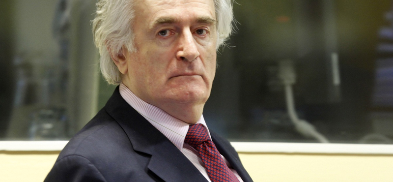 Radovan Karadzic új eljárást követel