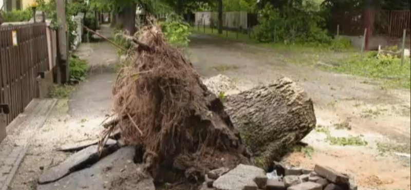 Durva károkat okozott a hétvégi jégeső, Debrecenben fákat csavart ki a vihar – videó