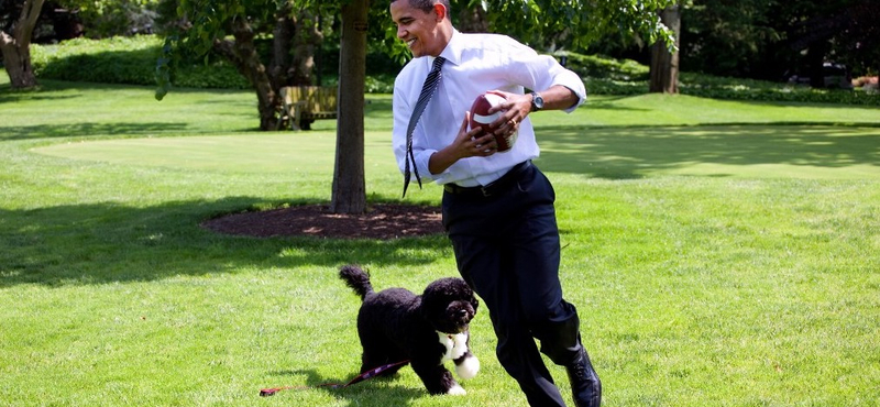 Barack Obama az egyik leghíresebb fehér házi fotóval búcsúzik a család kutyájától