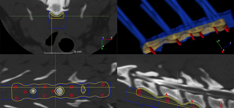 3D-nyomtatással reformálják meg a magyar szakemberek az állatorvoslást