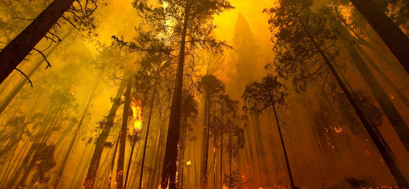 Még mindig lángol a Yosemite, füstben a turisták