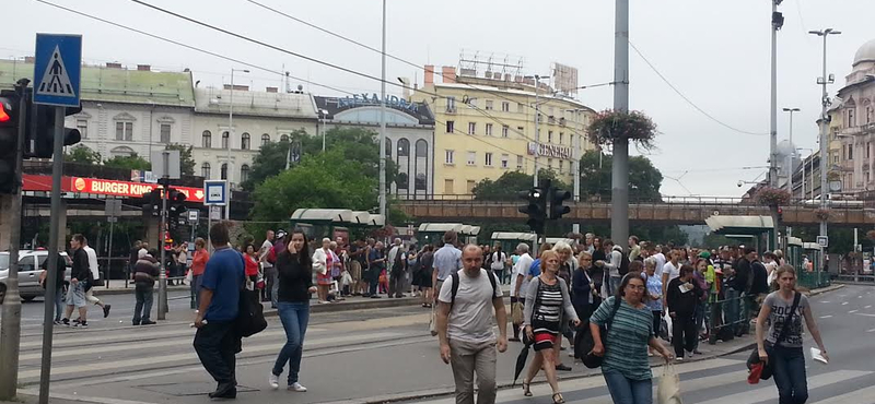 Nem járt a 4-es, 6-os – leszállították az utasokat a 9-es buszról