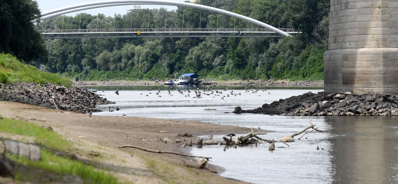 Fotókon mutatjuk, mennyire alacsony a Tisza vízállása