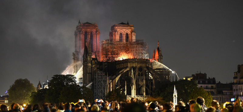 1300 normadiai tölgyet ajánlottak fel a Notre-Dame új gerendázatához