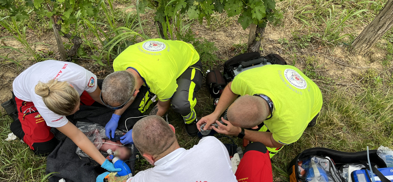 Elmeorvos is vizsgálni fogja a gyermekét a szőlőhegyen hagyó nőt