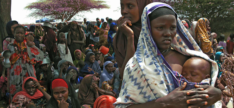 Egyre több a kolerás beteg Afrikában