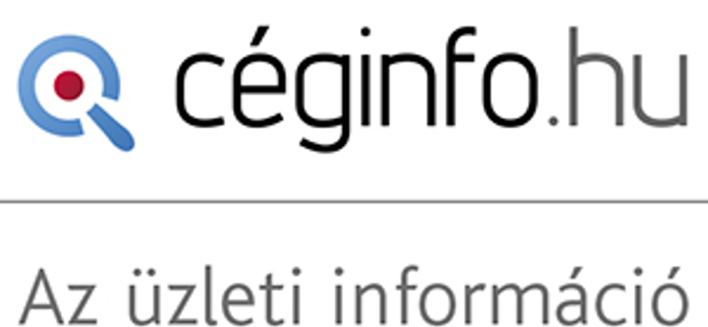 Céginfo.hu: kétezerrel kevesebb vállalkozás kezdett működni idén