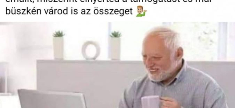 Mészáros alapítványa Hide the Pain Harold képével hirdette a támogatások elnyeréséről szóló posztját