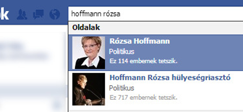 Hoffmann Rózsa és a digitális kompetenciák