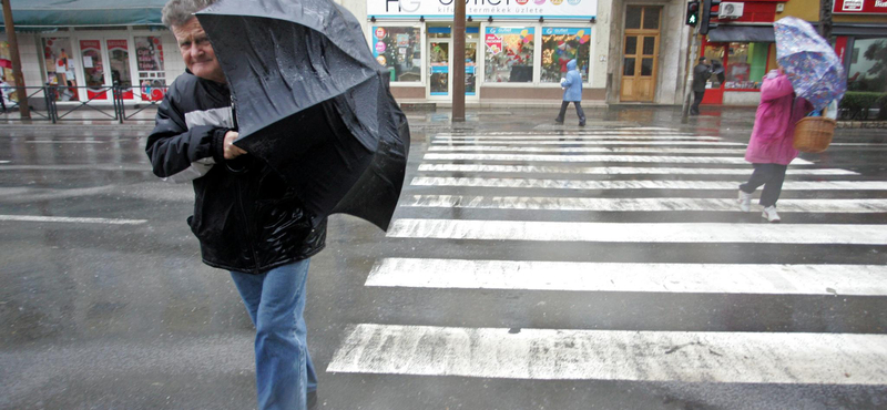 Vihar: autóban ülő emberekre dőlt két fa