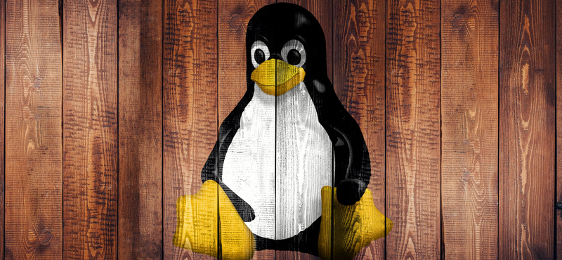 Visszatér a Linux atyja, és állítja: megtanult viselkedni