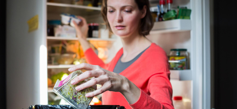 Kockacukor a sajt mellett, nedves törölközőben a spárga - praktikák, hogy ne romoljanak meg az élelmiszerek