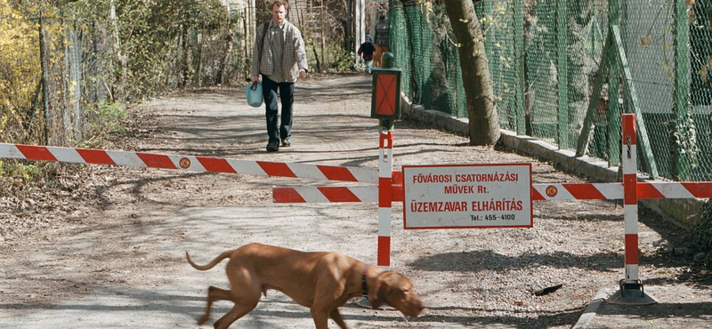 Napi: kétmilliárdos gát épül a Rómain