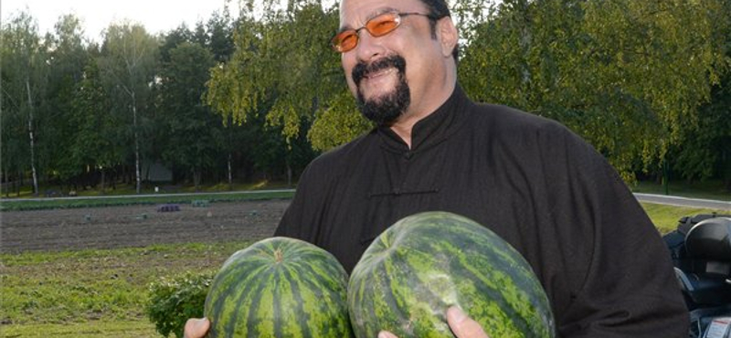 Steven Seagalt is zaklatással vádolják