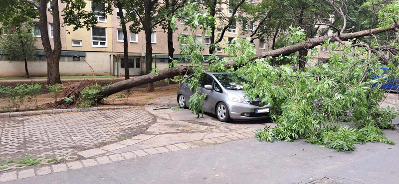 Akár 4,5 milliárd forintnyi kárt is okozhattak a múlt heti viharok