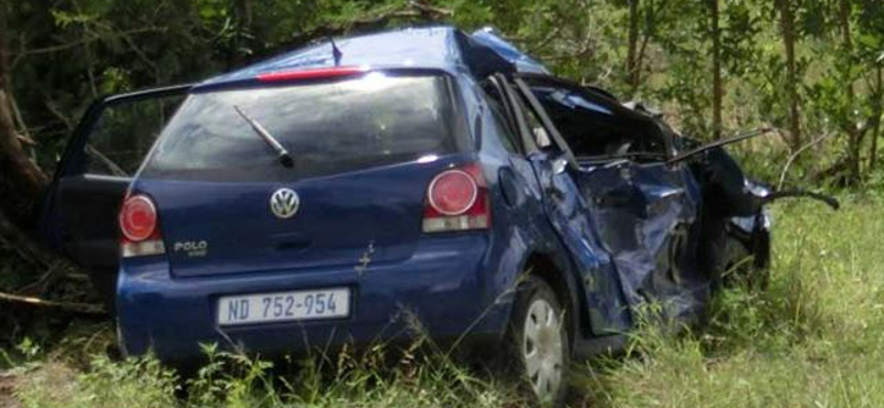 Elefánt végzett ki egy Volkswagen Polót – videó