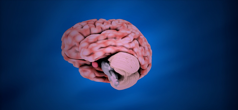 Éjfél után már rosszabb döntéseket hoz az agy – mondják a kutatók
